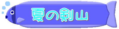 夏の剣山